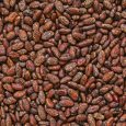 cocoa beans