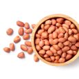 groundnut_image-min-scaled